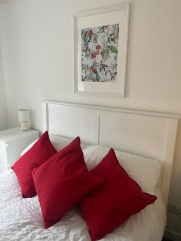 Glenbervie - Beautifully Refurbished, Self-Contained Apartment Dunfermline Exteriör bild